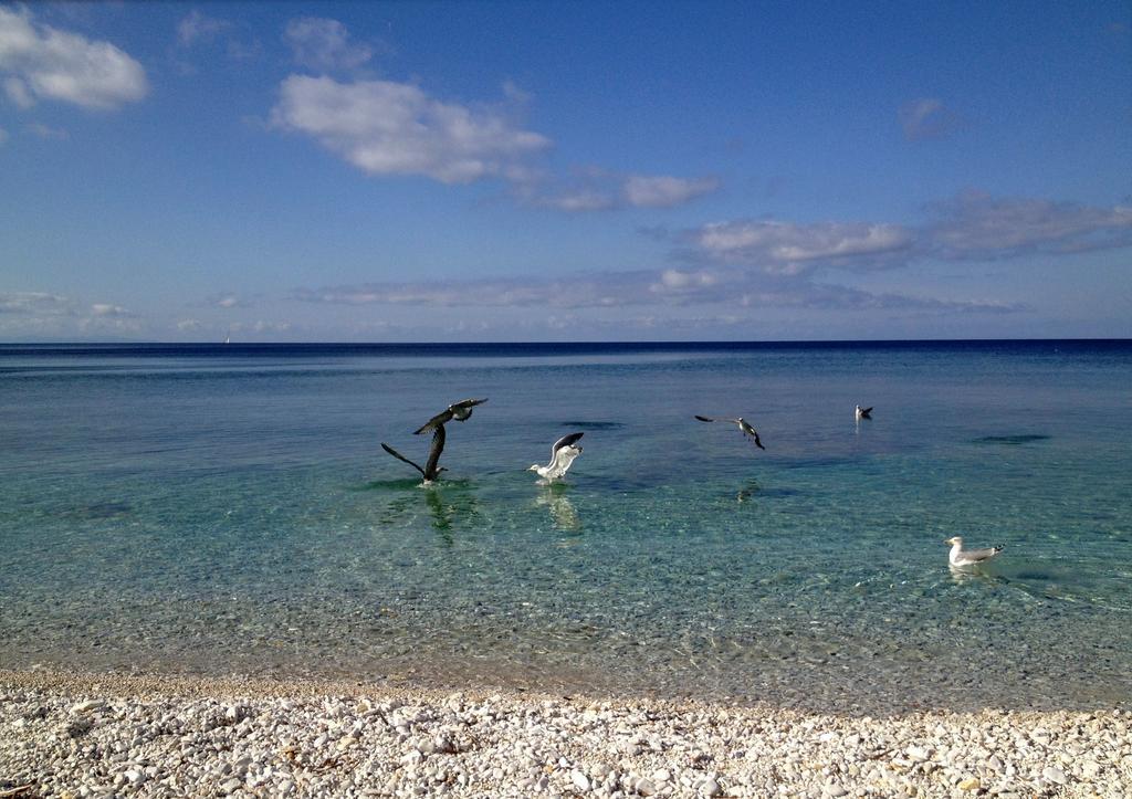 Appartamento Ponticello By Helloelba Portoferraio Eksteriør bilde